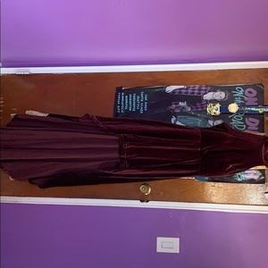 Burgundy Velvet Dress